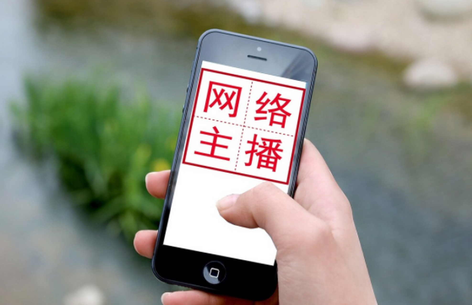 _最红主播修炼手册_直播修炼手册