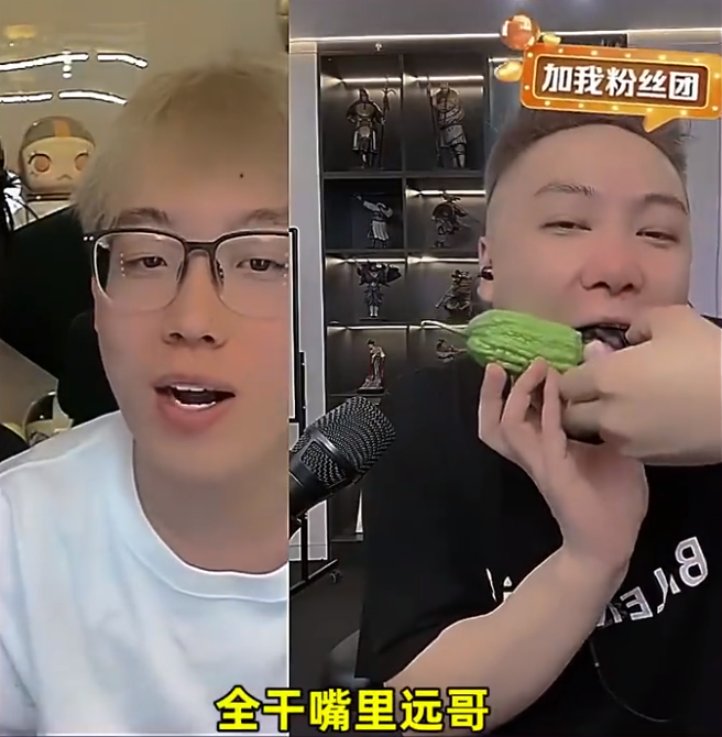 驴子出逃了_驴驴baby模仿谁_