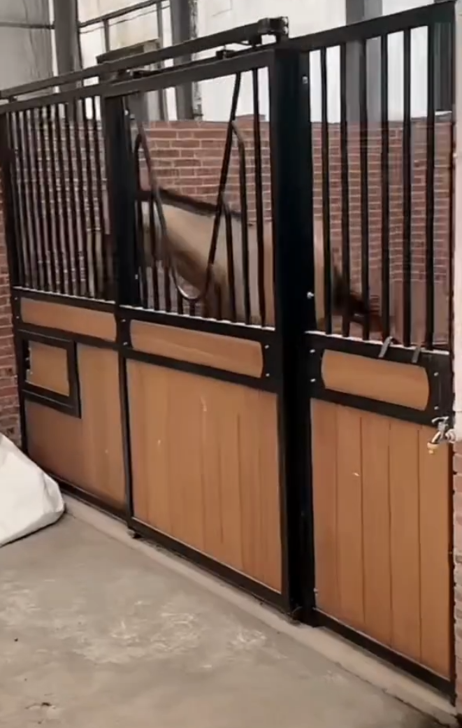 _女方已怀孕，许华升婷婷不停正式官宣！天佑吐槽被李四拿马场架上了_女方已怀孕，许华升婷婷不停正式官宣！天佑吐槽被李四拿马场架上了