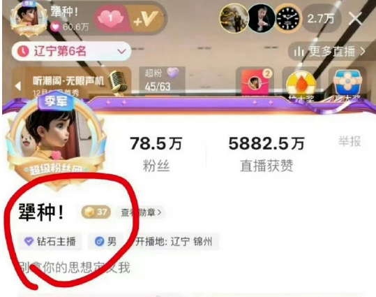 _天佑dz公会什么意思_天佑的公会叫什么名字