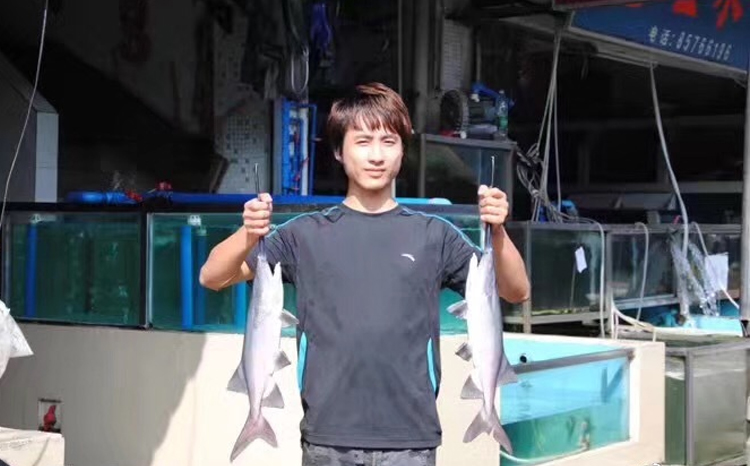 散打哥大哥_散打哥吧_