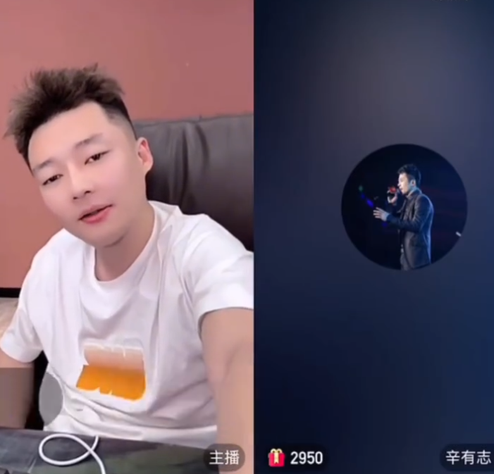 _辛巴天佑谁厉害_辛巴骂天道