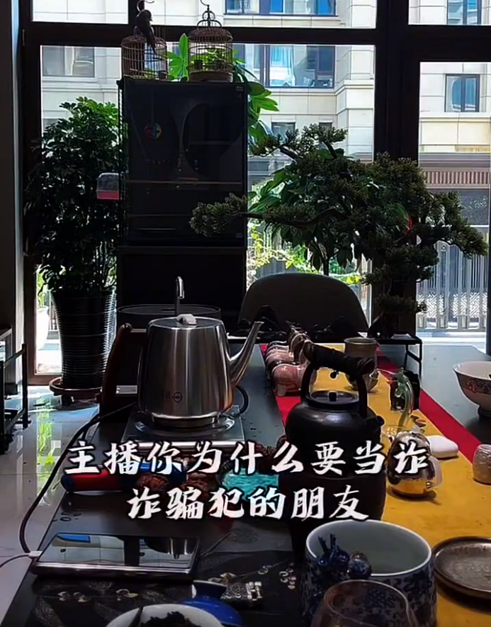 _祁天道说辰轩_去哪儿回应400电话诈骗事件