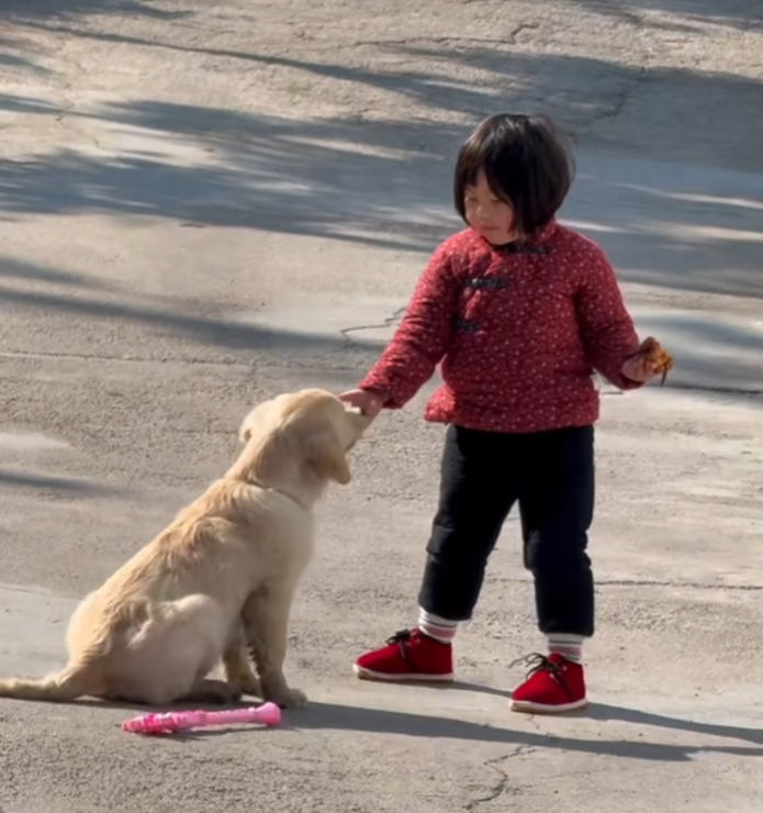 瑶游戏视频_瑶被甩下来_