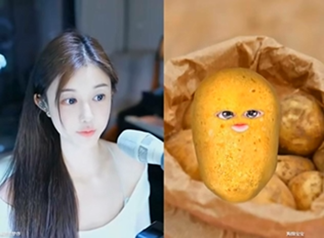 zhai奔_奔犇是什么意思_