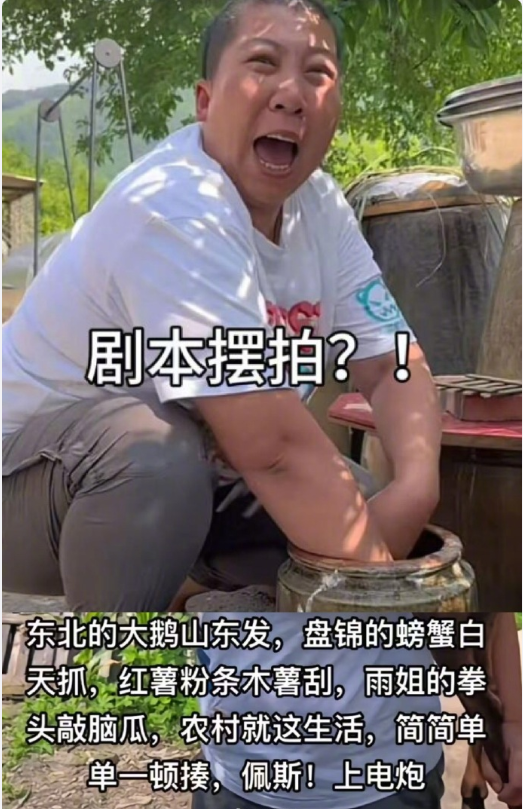 _全都是摆拍，东北雨姐上央视20分钟！大美辟谣满背文身花8万？_全都是摆拍，东北雨姐上央视20分钟！大美辟谣满背文身花8万？