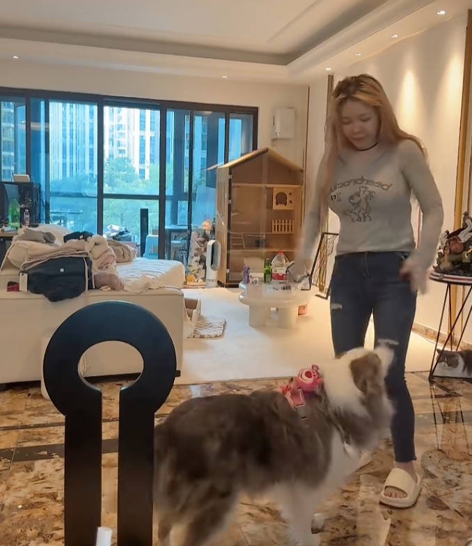 _yy直播出事视频_yy直播出事视频下载