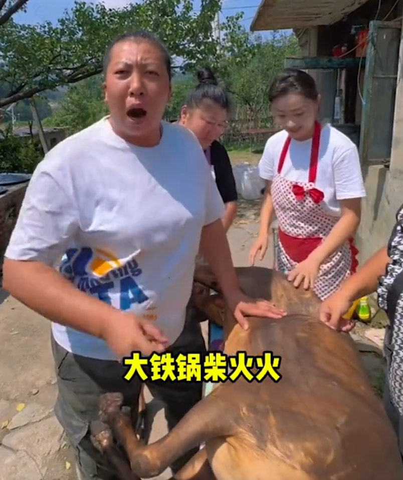 带货主播小小_up主小小_