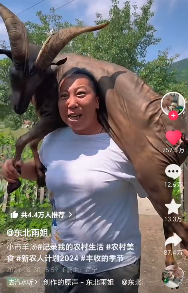 _up主小小_带货主播小小