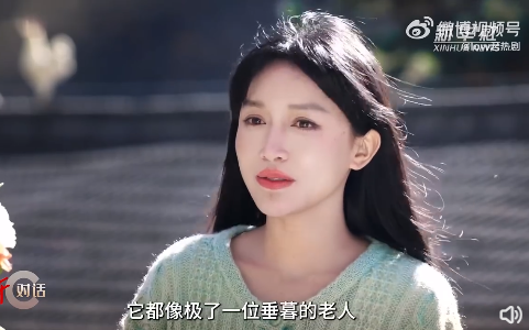 牌牌琦离婚了__李牌牌是牌牌琦吗