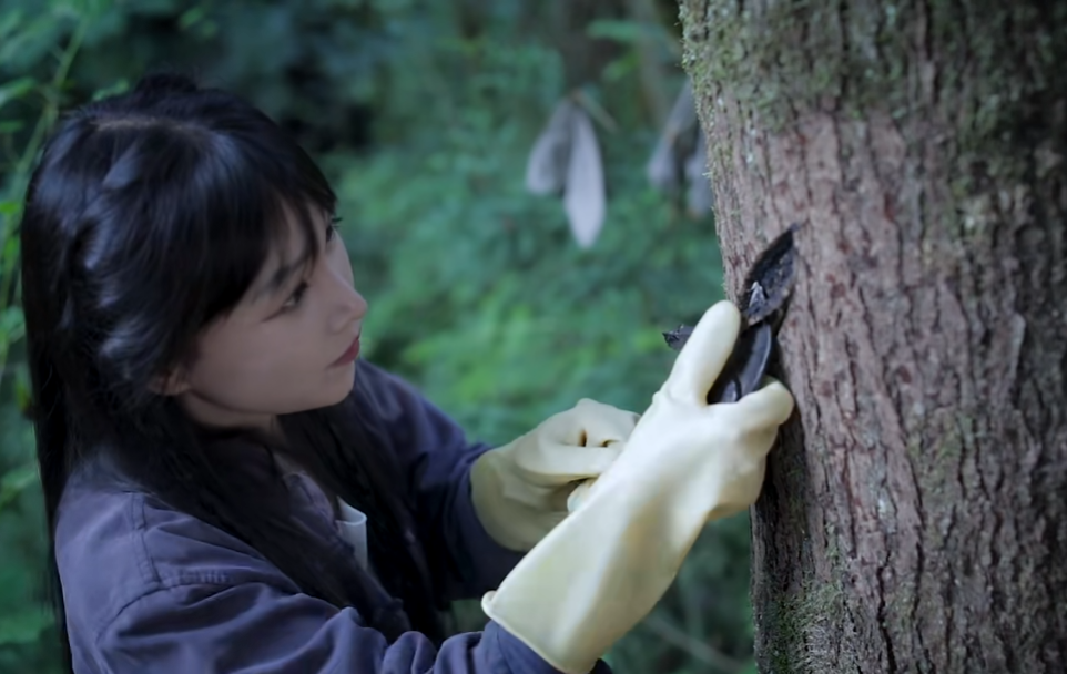 曾“鲸落万物生”，李子柒时隔三年回归，连更2条作品再登顶流_曾“鲸落万物生”，李子柒时隔三年回归，连更2条作品再登顶流_
