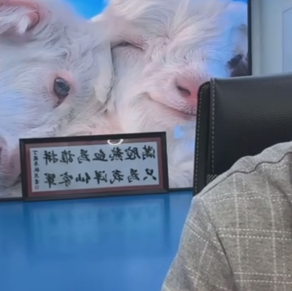 仙家出窍是什么意思_仙家出头是什么征兆_