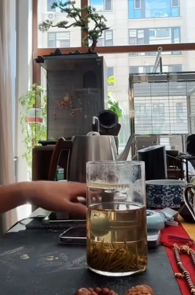 _天佑公会都有哪些主播_天佑公会叫什么名字