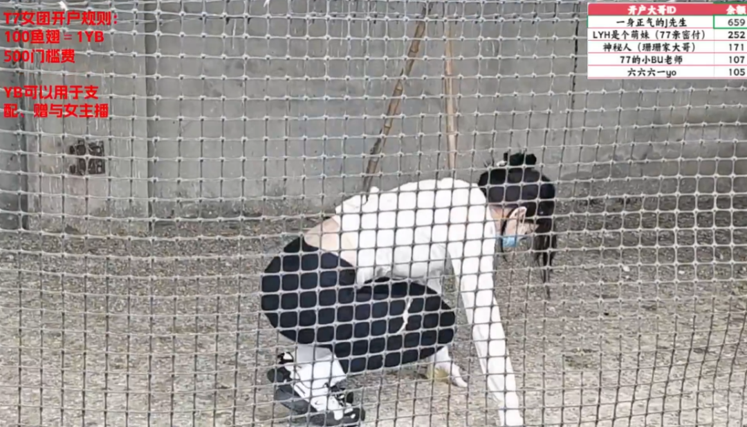 惩罚主播的游戏都有什么__主播接受惩罚的名场面