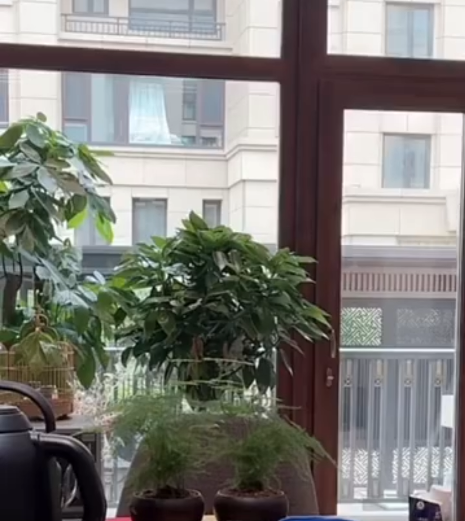 老助理妹天佑娇熊帮忙是哪一集_老助理妹天佑娇熊帮忙免费阅读_