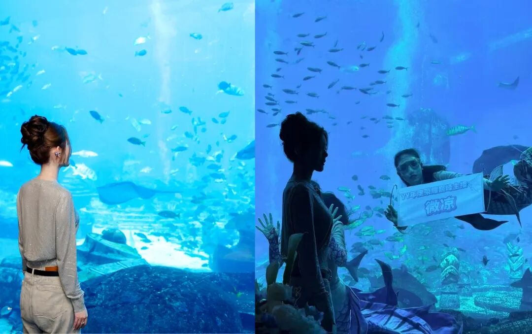 _美人鱼酒价格_美人鱼酒庄2017评分