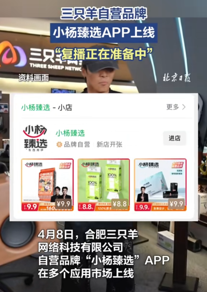 _杨平ebsd_dj杨平