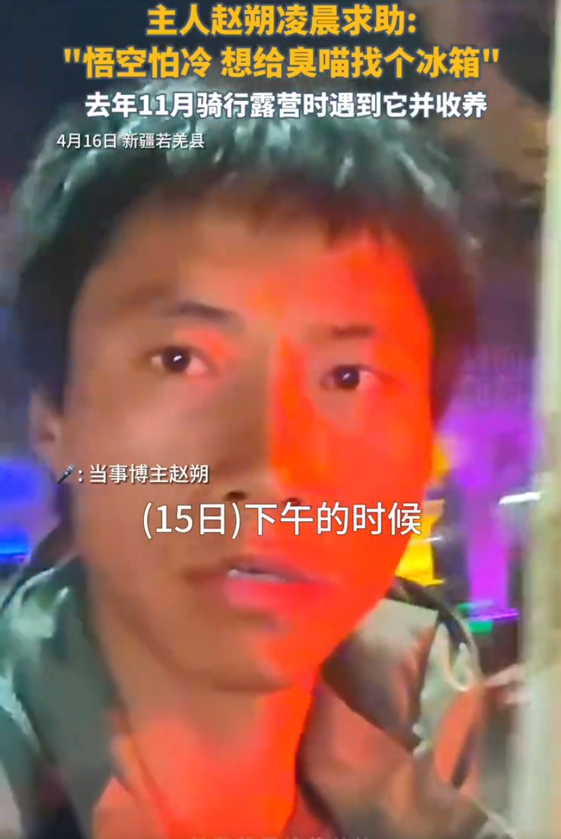 网红小猫悟空主人已谅解车主,牌牌琦被小伊伊嫌老?沉迷80年代老歌__网红小猫悟空主人已谅解车主,牌牌琦被小伊伊嫌老?沉迷80年代老歌