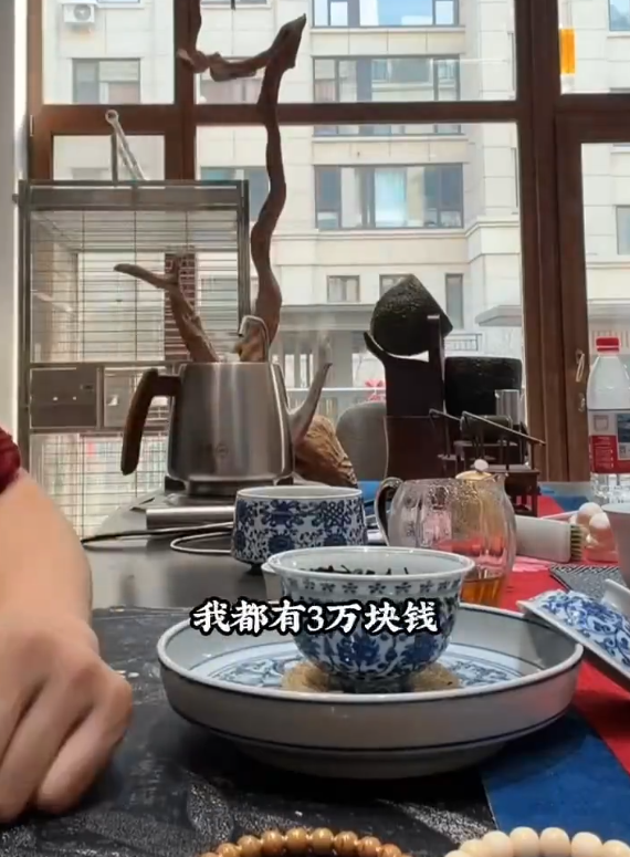 老舍尊重狗但批评猫_mc天佑辛有志_