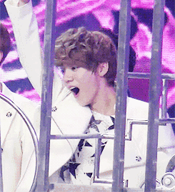 鹿晗高颜值分析_鹿晗百度贴吧_鹿晗为什么这么红