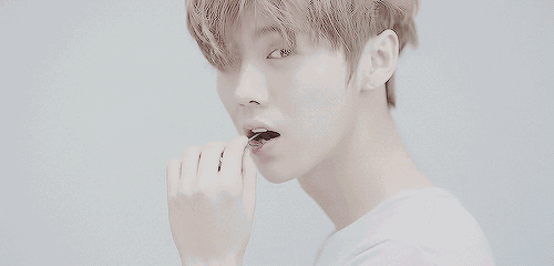 鹿晗百度贴吧_鹿晗高颜值分析_鹿晗为什么这么红