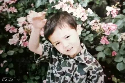 鹿晗高颜值分析_鹿晗百度贴吧_鹿晗为什么这么红