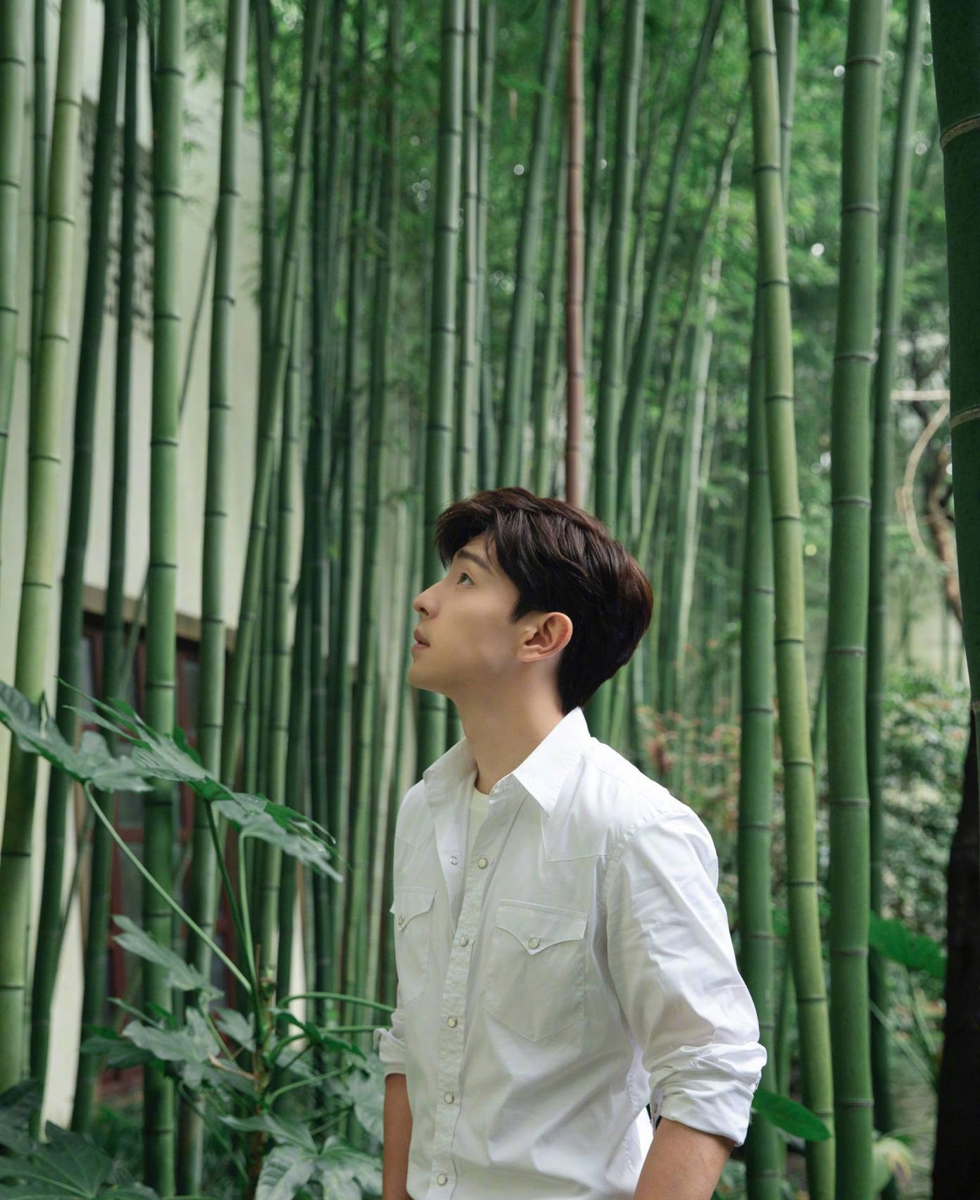 李沁的头像图片_李沁工作室头像相似 邓伦工作室头像相似 李沁杨洋复合可能性