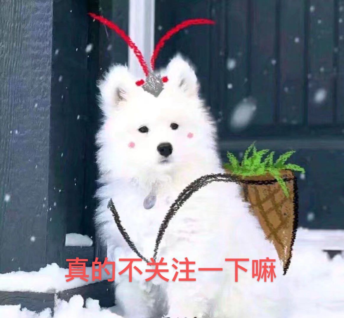 李沁的头像图片_邓伦李沁戴戒指_邓伦李沁恋情