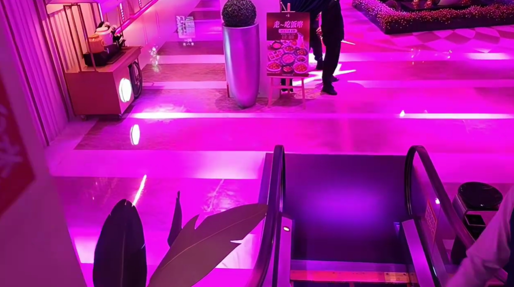 赶紧张开朗喝百威训会长节目！会长称自己不在乎！点我是吧？张开朗回应会长！(图1)