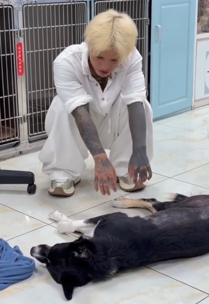殷世航发文悼念爱犬因中暑去世!40多岁还有爸打是幸福,驴姐自曝被驴爸打了!(图1)