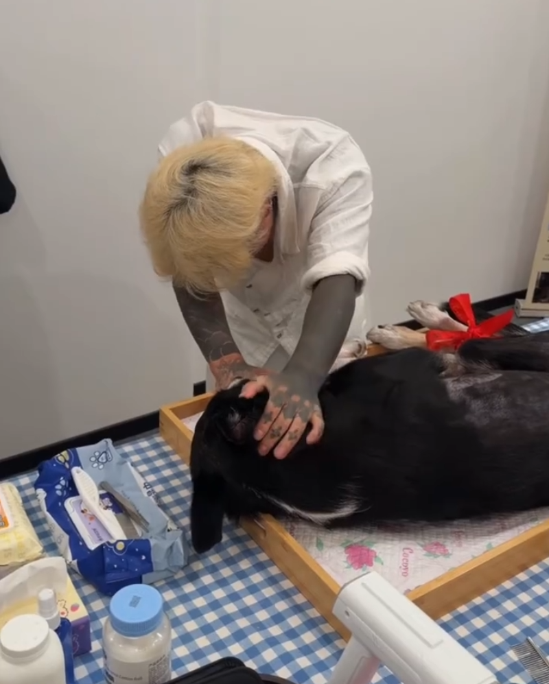 殷世航发文悼念爱犬因中暑去世!40多岁还有爸打是幸福,驴姐自曝被驴爸打了!(图2)